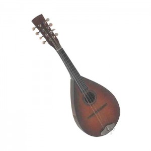 Joombush Bargain Mandolin