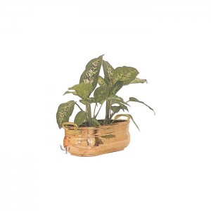 Turkish Copper Oval Deep Planter with Handles